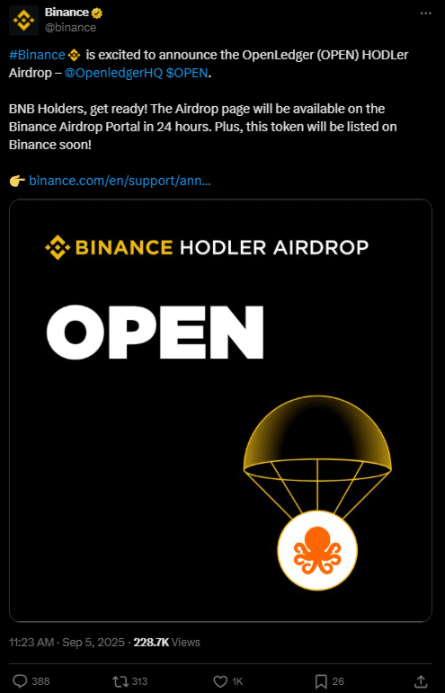 Source Binance X