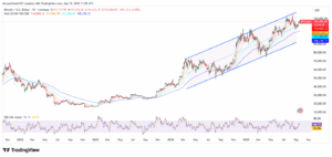 BTC/USD 1--Day Price Chart