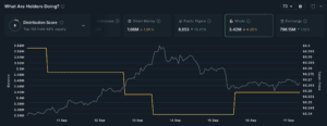 DOGE Whale Activity