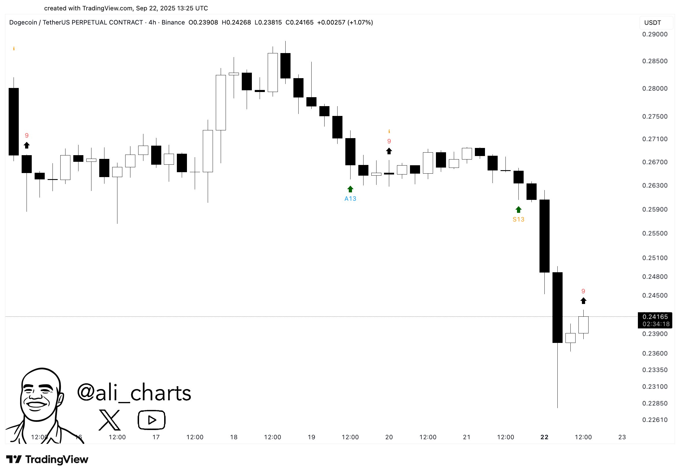 Dogecoin/USDT Perpetual, 4h. Source: Ali Martinez on X, TradingView