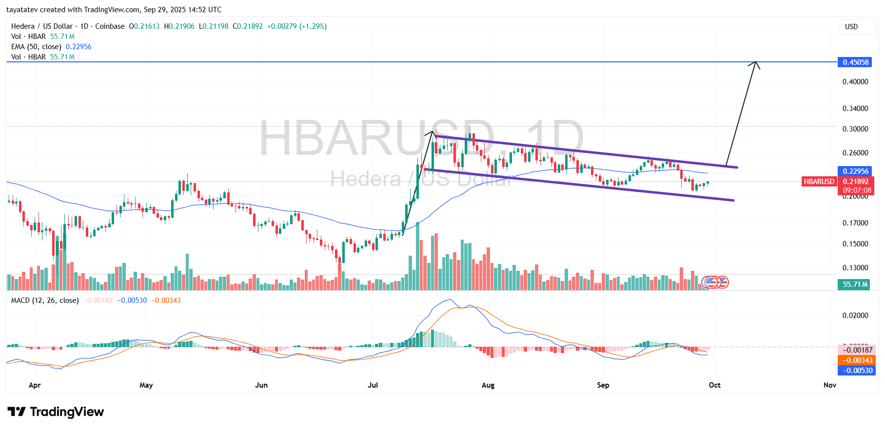 HBARUSD Daily Bullish Flag. Source: TradingView