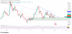 SHIB/USD 1-Day Price Chart