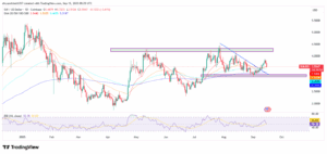 SUI/USD 1-Day Price Chart