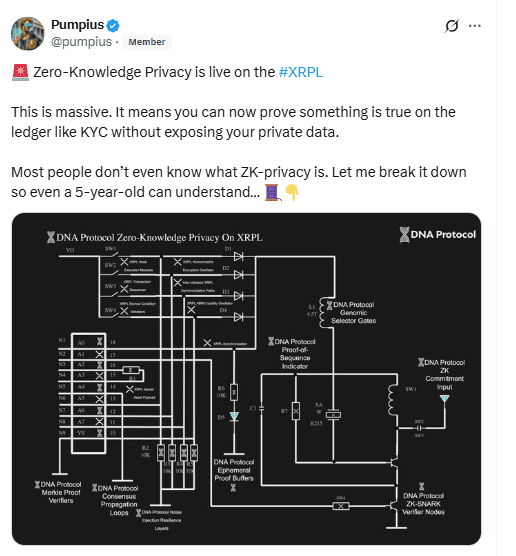Pumpius X Post on XRP Zero-Knowledge PrivacySource: X (@pumpius)