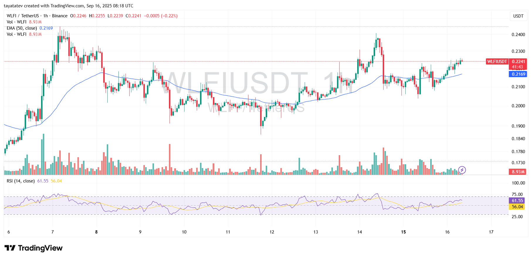 WLFI USDT 1h Binance Chart. Source: TradingView
