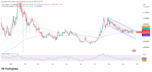 XDC/USD 1-Day Price Chart