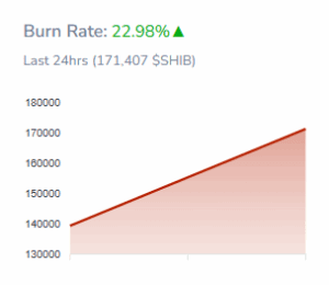 Shiv's burn rate