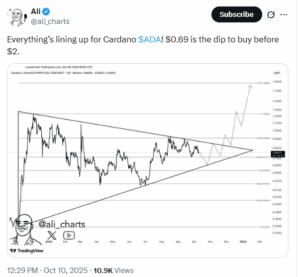 Analyst Sees $0.69 as a Key Buy Zone