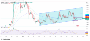 DOGE/USD 1-Day Price Chart