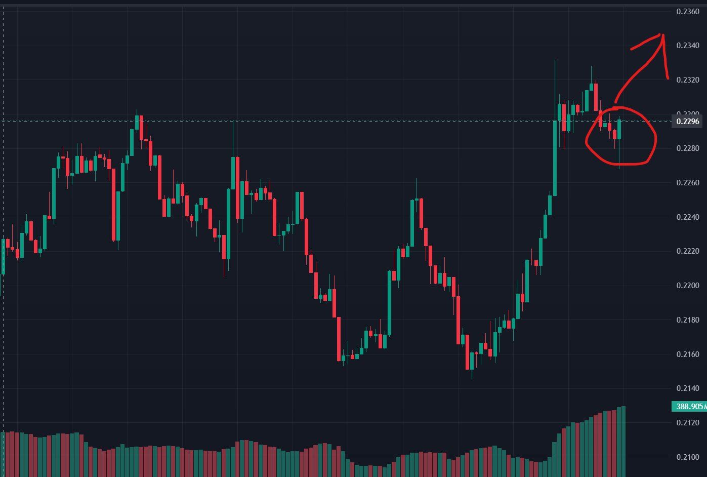 HBAR consolidation near 0.23. Source: TradingView