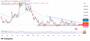 SHIB/USD 1-Day Price Chart