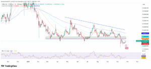 SHIB/USD 1-Day Price Chart