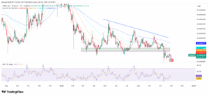 SHIB/USD 1-Day Price Chart