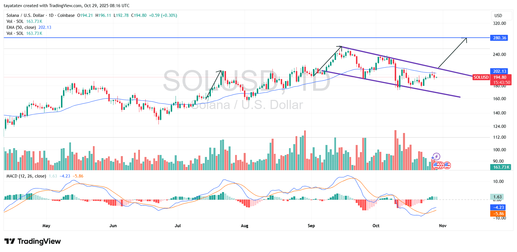 Solana (SOL/USD) Daily — Bullish Flag Setup (Oct 29, 2025)Source: TradingView