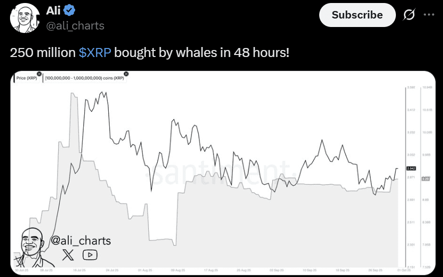 XRP Ripple whales movement