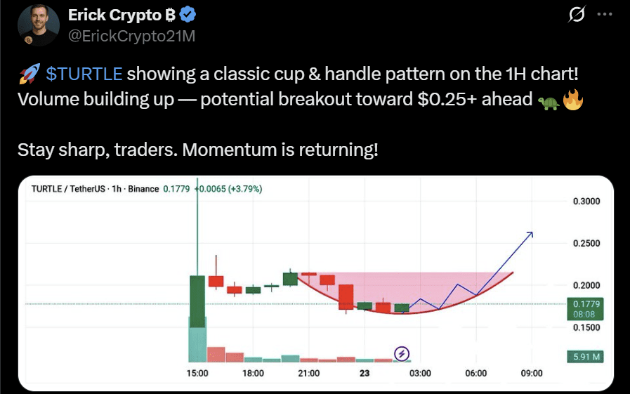 Turtle token price prediction