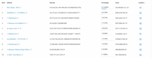 Top 10 Holders including Burn Address