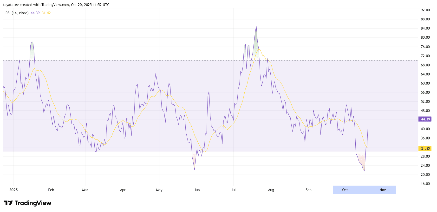XDCUSD Daily RSI. Source: TradingView