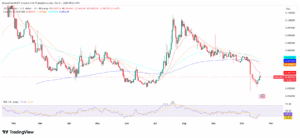 XDC/USD 1-Day Price Chart