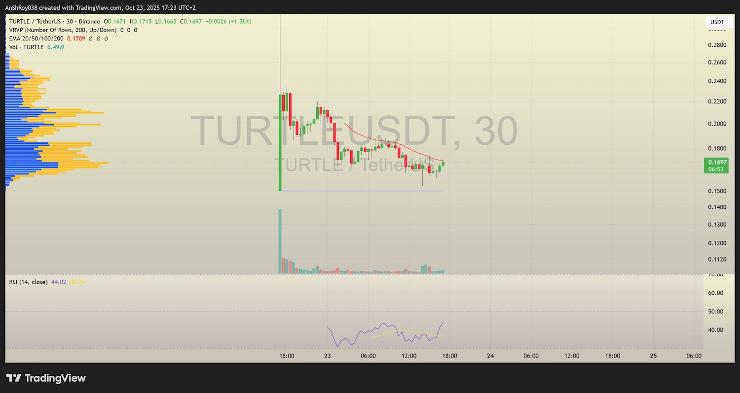 Turtle token price analysis